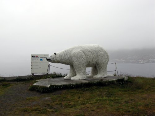 Eisbär