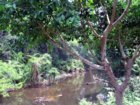 Khao Yai NP